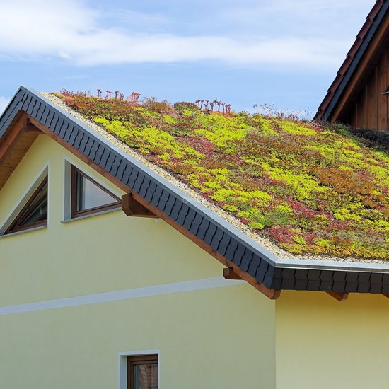 Hydroizolace zelené střechy