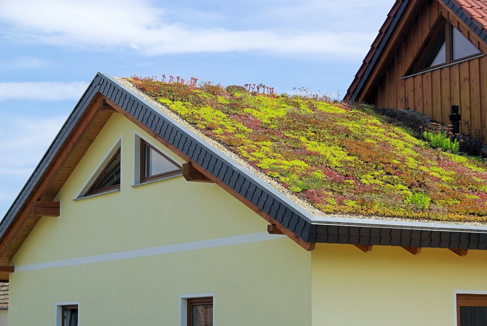 Zelené střechy